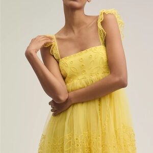 NWT Anthropologie Let Me Be Eyelet Tulle Mini Dress